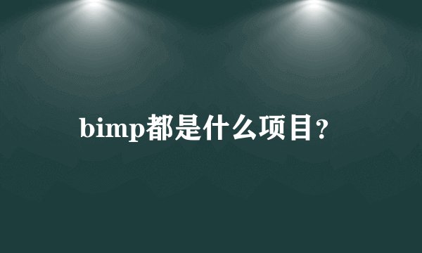 bimp都是什么项目？
