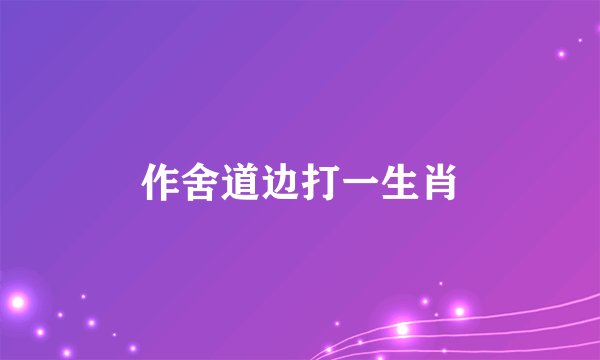 作舍道边打一生肖