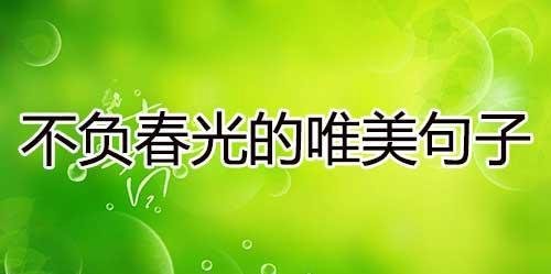 不负春光的唯美句子