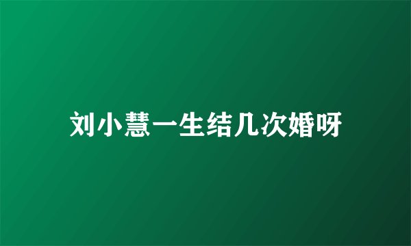 刘小慧一生结几次婚呀
