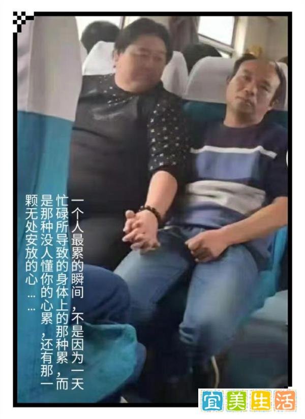 程凌虚看社会