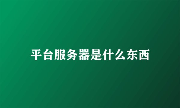 平台服务器是什么东西
