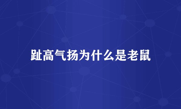 趾高气扬为什么是老鼠