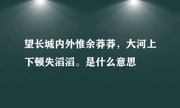 望长城内外惟余莽莽,大河上下顿失滔滔。是什么意思