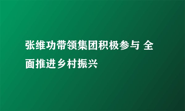张维功带领集团积极参与 全面推进乡村振兴