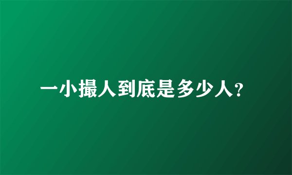 一小撮人到底是多少人？