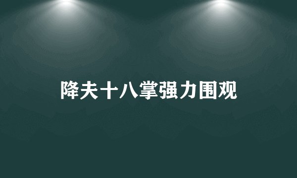 降夫十八掌强力围观