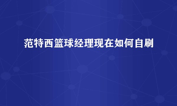 范特西篮球经理现在如何自刷