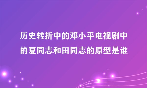历史转折中的邓小平电视剧中的夏同志和田同志的原型是谁