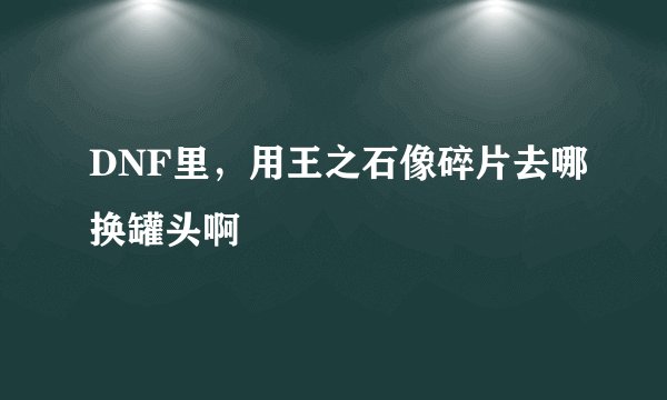 DNF里，用王之石像碎片去哪换罐头啊