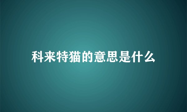 科来特猫的意思是什么