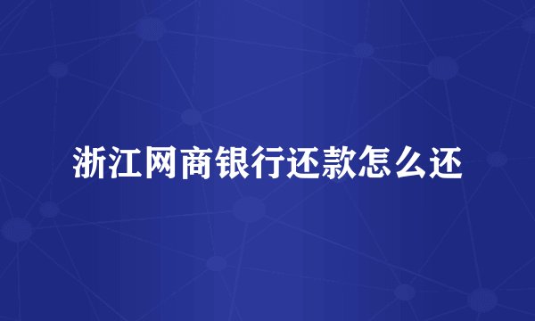 浙江网商银行还款怎么还