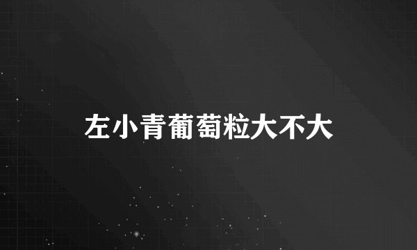 左小青葡萄粒大不大