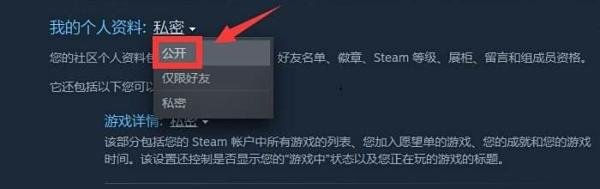 steam库存为私密状态 解决方案