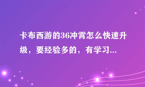 卡布西游的36冲霄怎么快速升级，要经验多的，有学习力还是好的