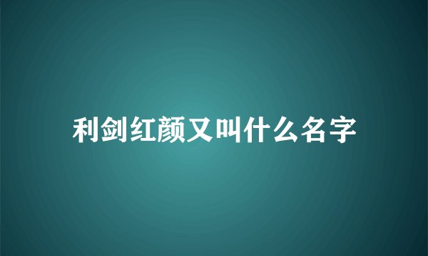 利剑红颜又叫什么名字