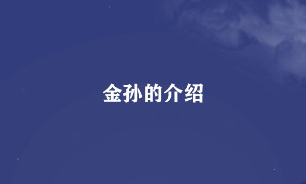 金孙的介绍