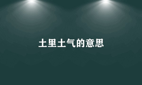 土里土气的意思