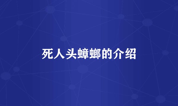 死人头蟑螂的介绍
