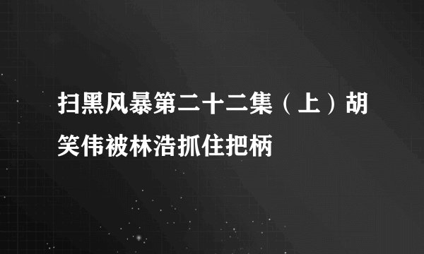 扫黑风暴第二十二集（上）胡笑伟被林浩抓住把柄