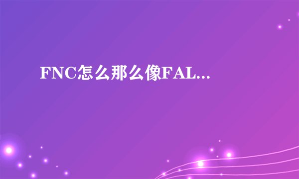 FNC怎么那么像FAL...