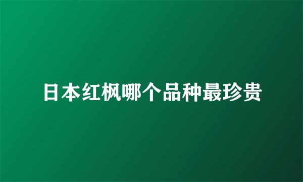 日本红枫哪个品种最珍贵