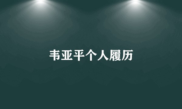 韦亚平个人履历