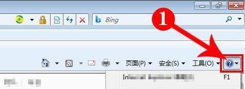 教你用注册表将IE浏览器升级为9.0版本