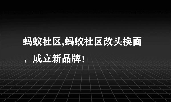 蚂蚁社区,蚂蚁社区改头换面，成立新品牌！