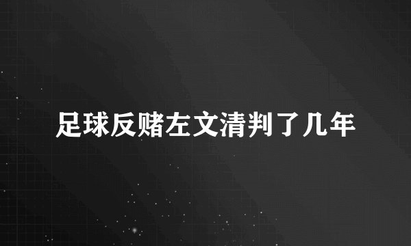 足球反赌左文清判了几年