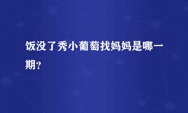 饭没了秀小葡萄找妈妈是哪一期？
