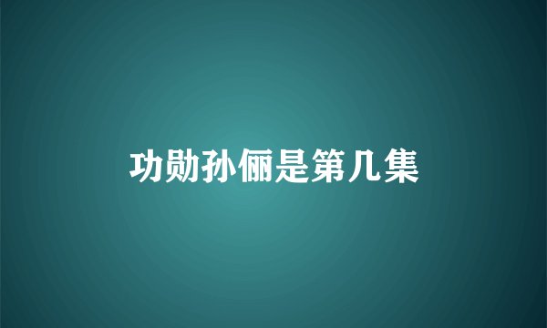 功勋孙俪是第几集