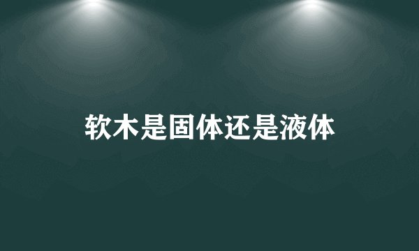 软木是固体还是液体