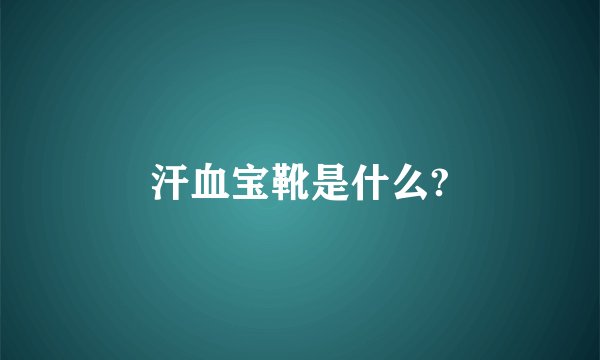 汗血宝靴是什么?