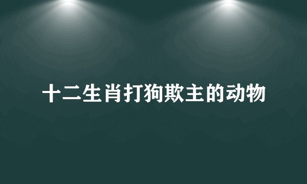 十二生肖打狗欺主的动物