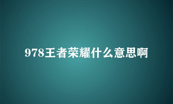 978王者荣耀什么意思啊