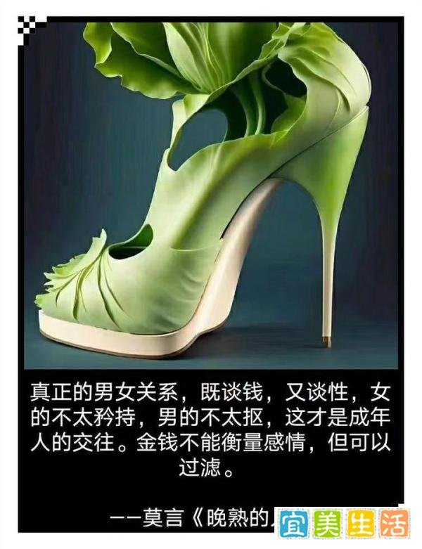 程凌虚看社会
