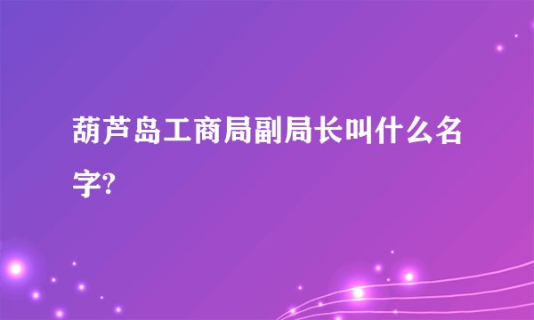 葫芦岛工商局副局长叫什么名字?