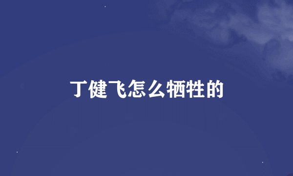 丁健飞怎么牺牲的