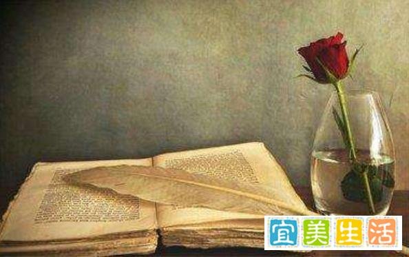 菜鸟程序员和大神程序员差距在哪里?别告诉我你连菜鸟都不算!