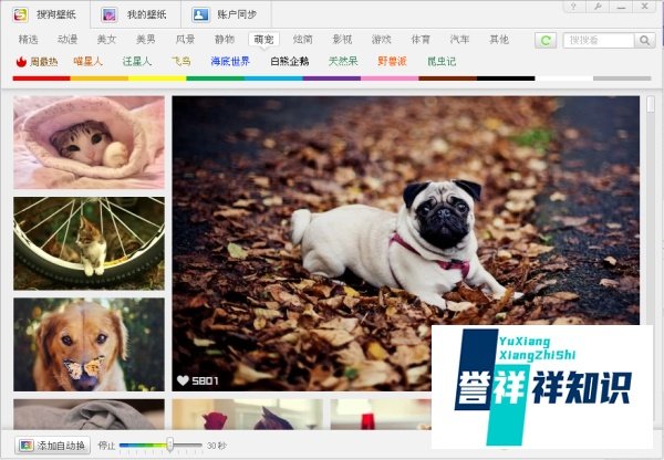 搜狗桌面壁纸的图片如何下载下来？