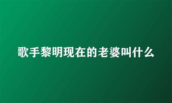 歌手黎明现在的老婆叫什么