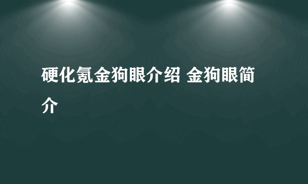 硬化氪金狗眼介绍 金狗眼简介