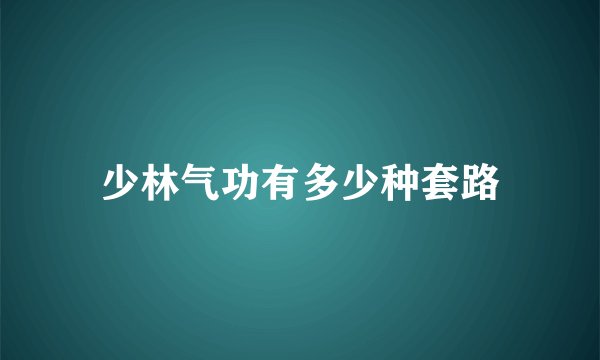 少林气功有多少种套路