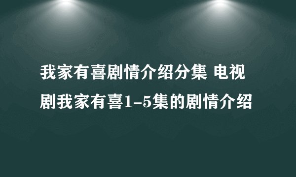 我家有喜剧情介绍分集 电视剧我家有喜1-5集的剧情介绍