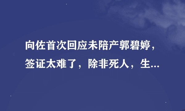 向佐首次回应未陪产郭碧婷，签证太难了，除非死人，生孩子都不行