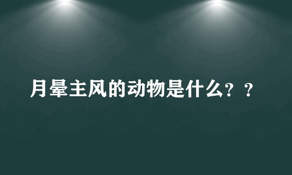 月晕主风的动物是什么??