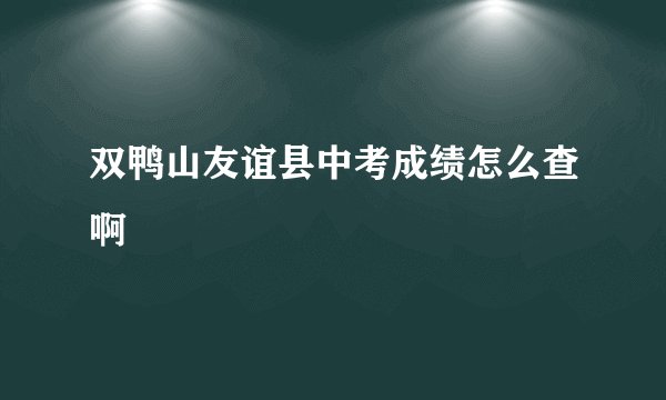 双鸭山友谊县中考成绩怎么查啊
