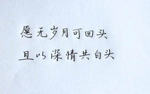 愿无岁月可回头且以深情共白首的含义是什么?