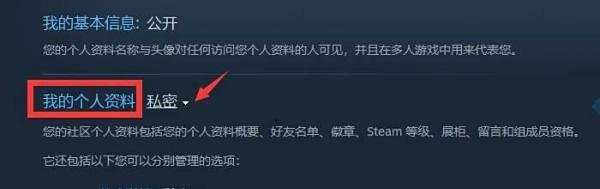 steam库存为私密状态 解决方案